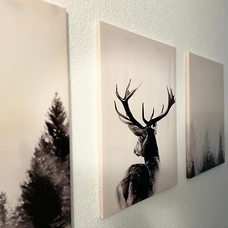 호텔 City Hotel 라어