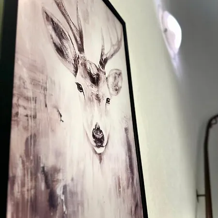 호텔 City Hotel 라어